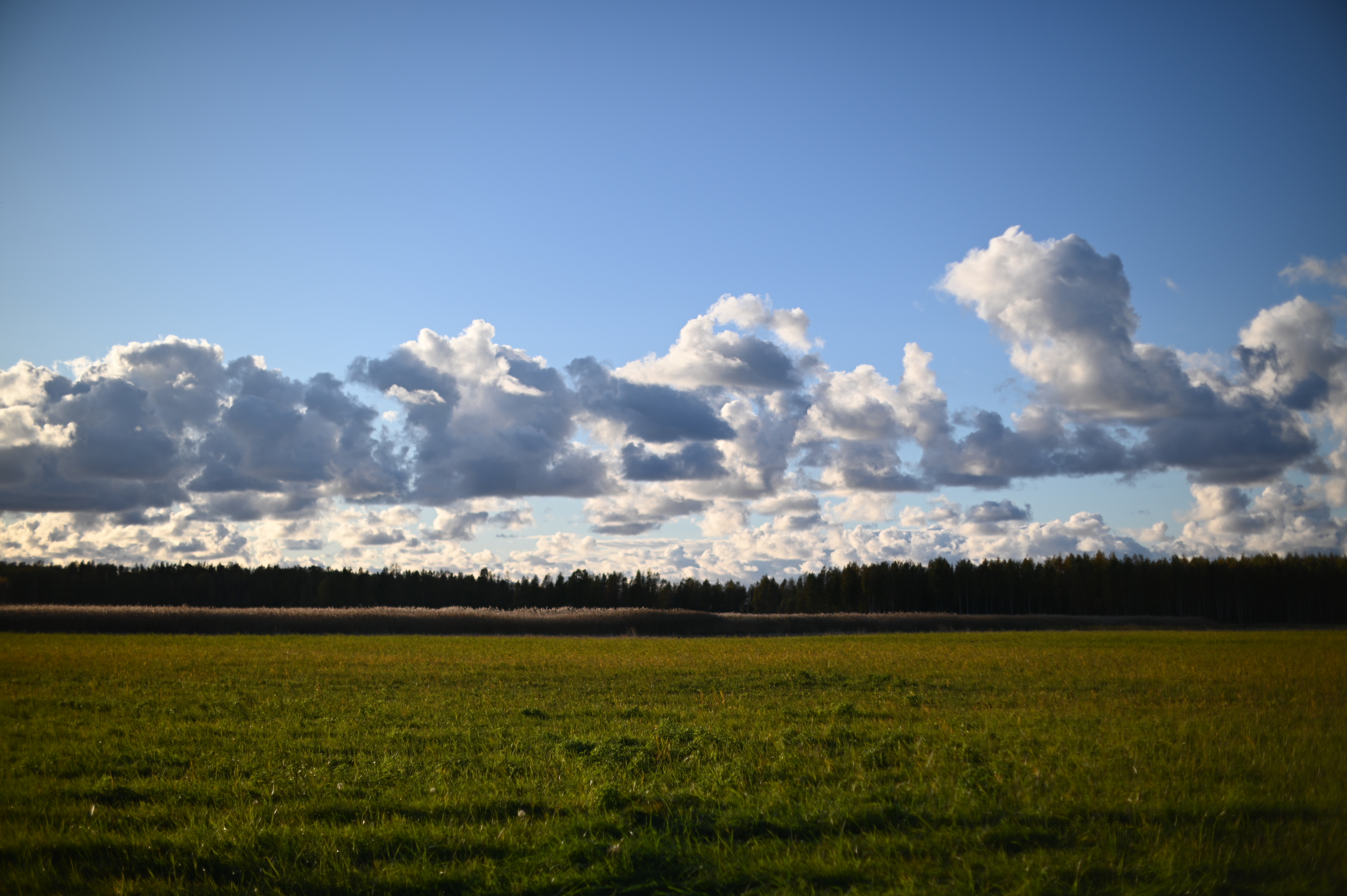 2025/10/18 - walk/DSC_0171.JPG